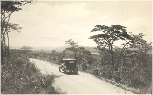 Kilimanjaro