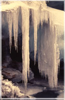 Icicles at the Curling Pond - Lewis Glacierl