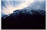 Kilimanjaro