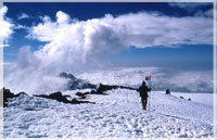 Kilimanjaro