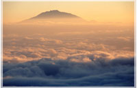 Kilimanjaro