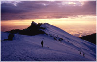Kilimanjaro