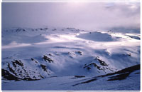 Kilimanjaro