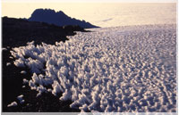 Scalloped ice fields on the summit of Kilimanjaro