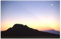Kilimanjaro