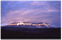 Kilimanjaro