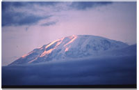 Kilimanjaro