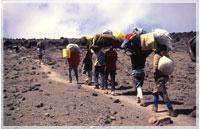Kilimanjaro